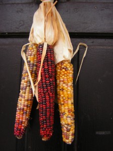 Indian Corn Indian Corn decoration on door