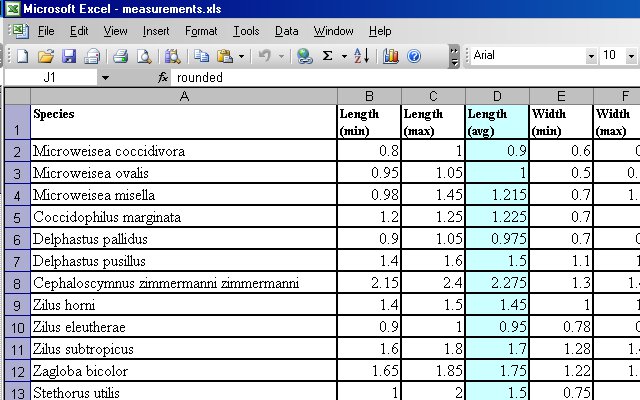 Lady Beetle Measurements